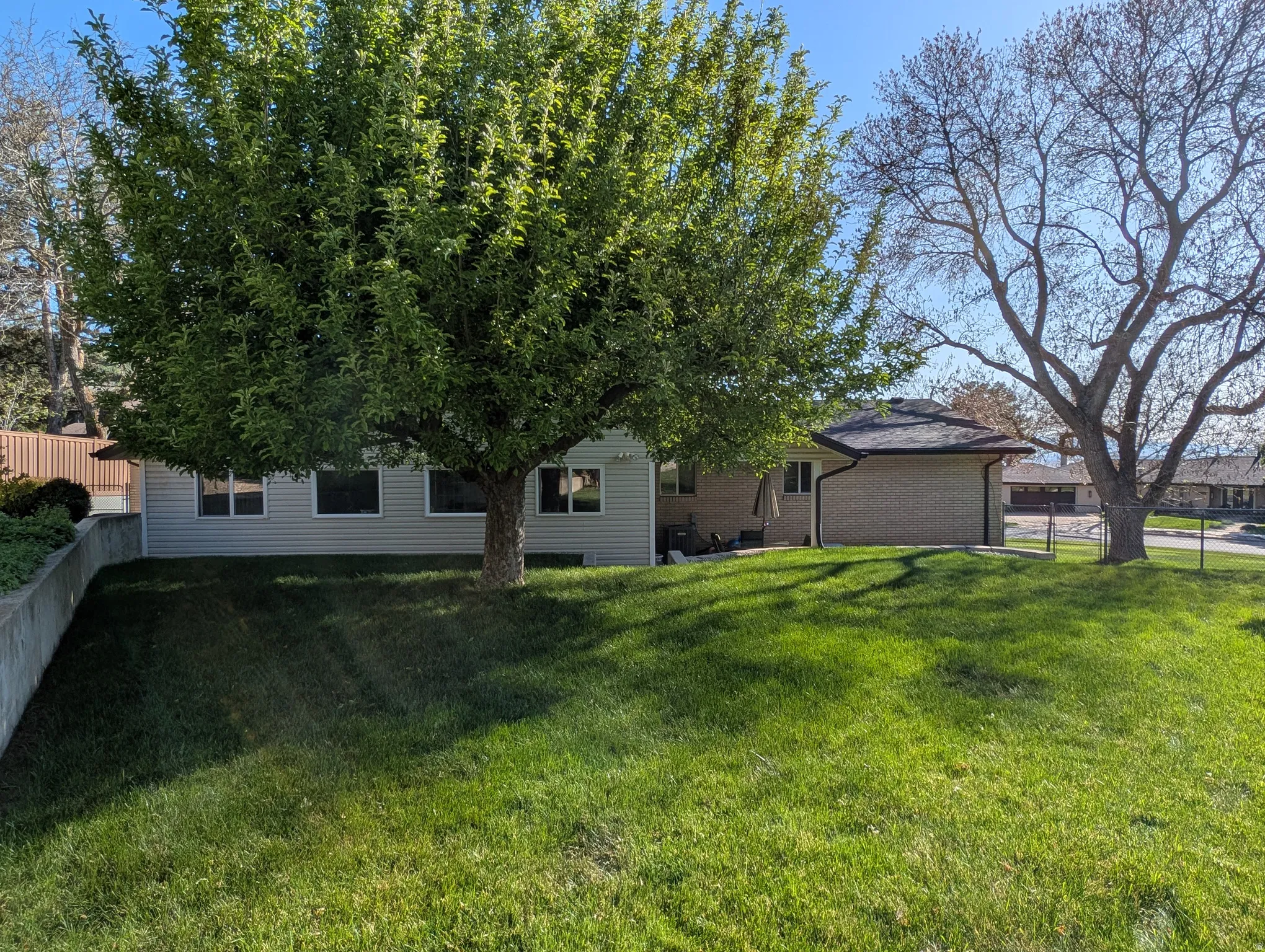 Spacious outdoor area featuring a large mature tree, sloped lawn, and concrete retaining wall