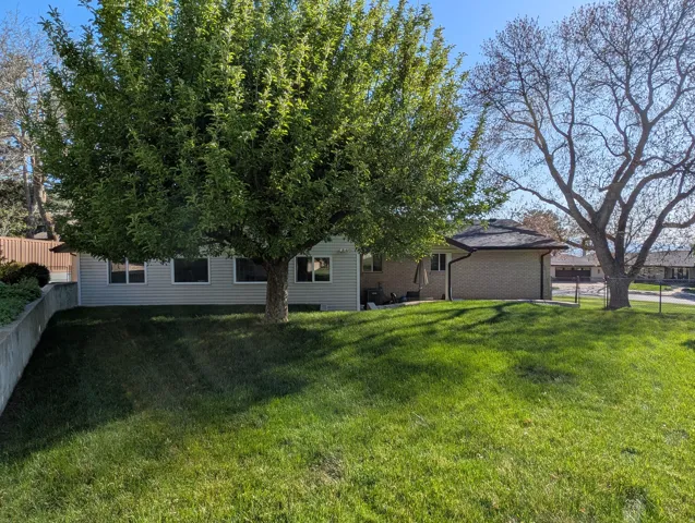 Spacious outdoor area featuring a large mature tree, sloped lawn, and concrete retaining wall