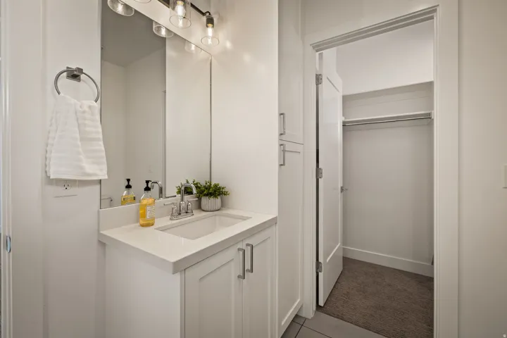 Bathroom with vanity, a walk in closet, dark tile patterned flooring, and dark carpet