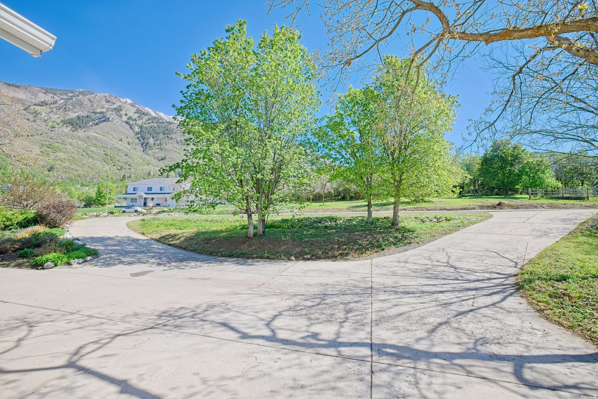 Concrete driveway with a split design, surrounded by mature trees and natural landscaping. Circular entryway,
