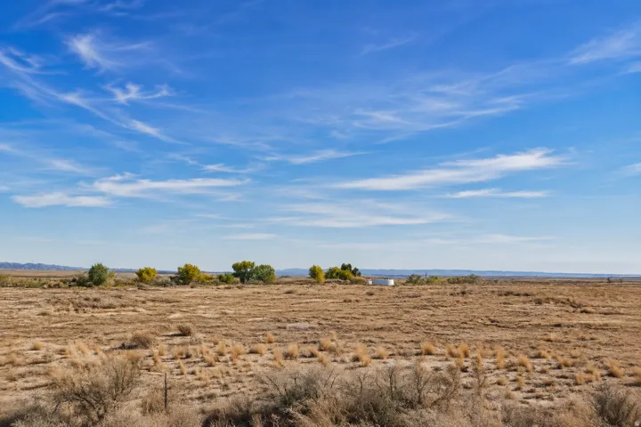 Expansive open land featuring natural grasses and distant trees
