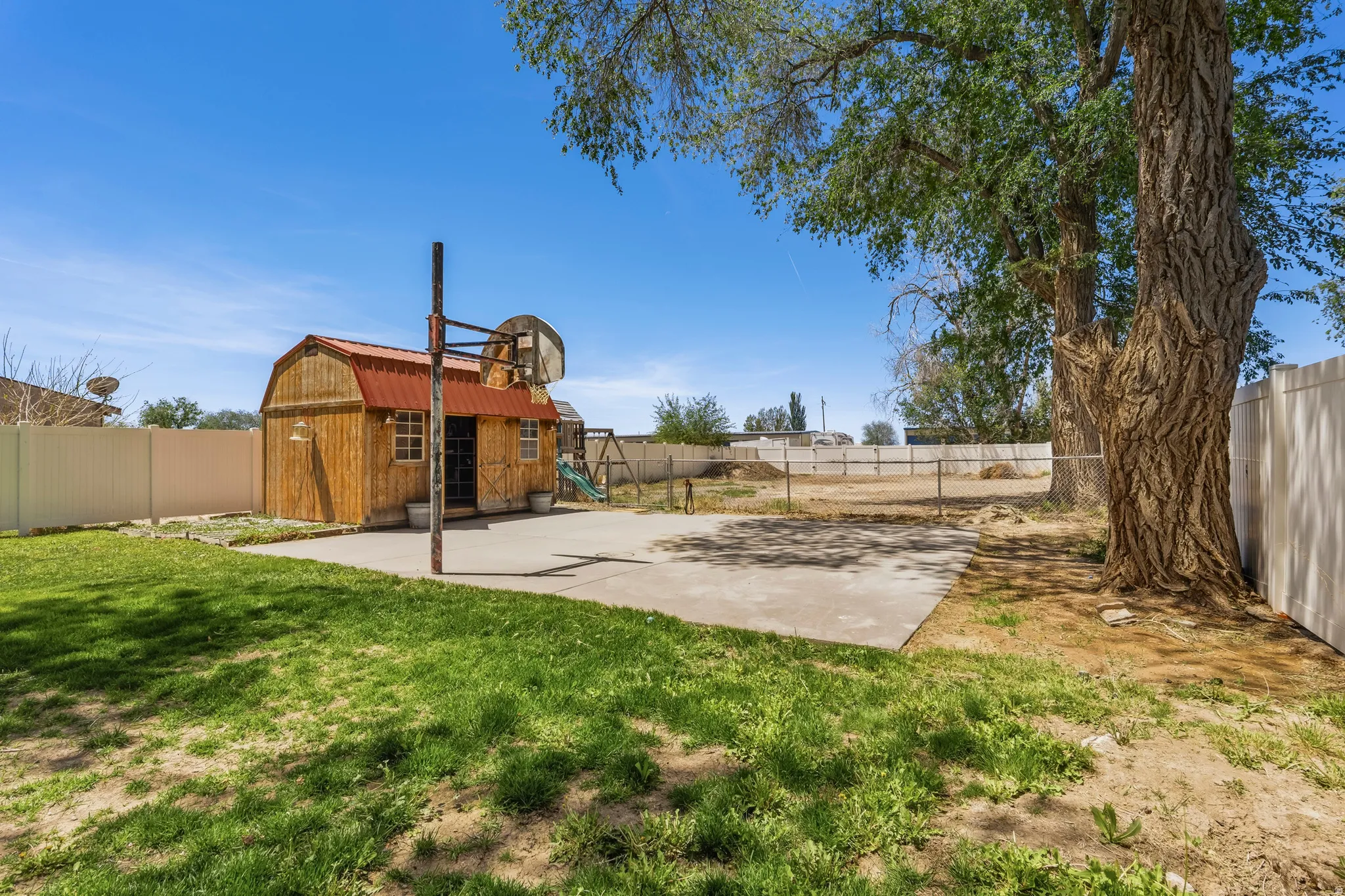 Expansive backyard featuring a partial concrete pad, a wooden shed with a red metal roof, a basketball hoop, and mature trees