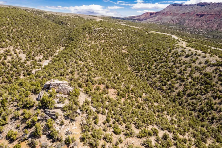 Expansive terrain featuring natural rock formations and a diverse collection of trees and brush