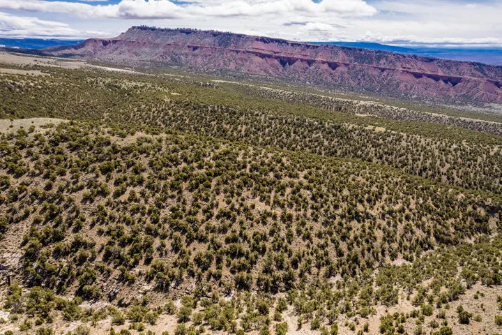 Expansive desert landscape featuring abundant scrub brush and varied topography