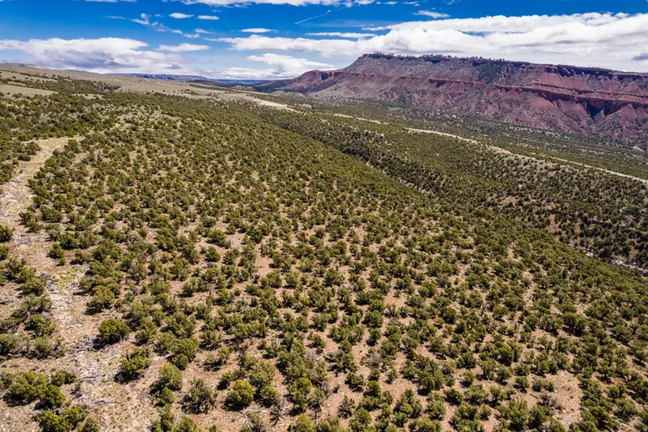 Expansive, rugged terrain featuring numerous scattered green shrubs and a dirt path