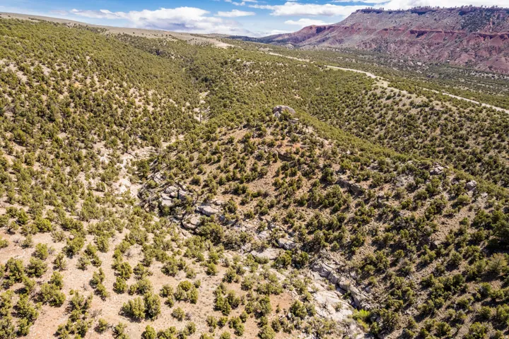 Expansive natural landscape featuring varied terrain, abundant low-lying vegetation, rock formations, and distant red rock formations