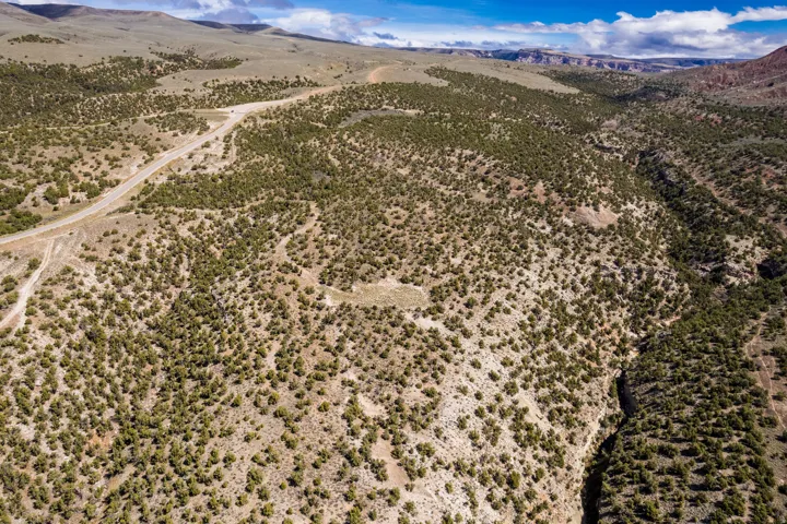 Expansive desert landscape featuring a winding road and abundant low-lying shrubbery