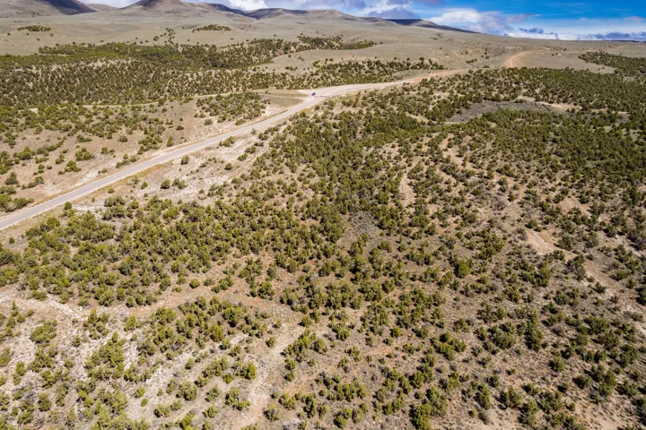 Expansive desert landscape featuring a paved road, scattered green foliage, and distant rolling hills