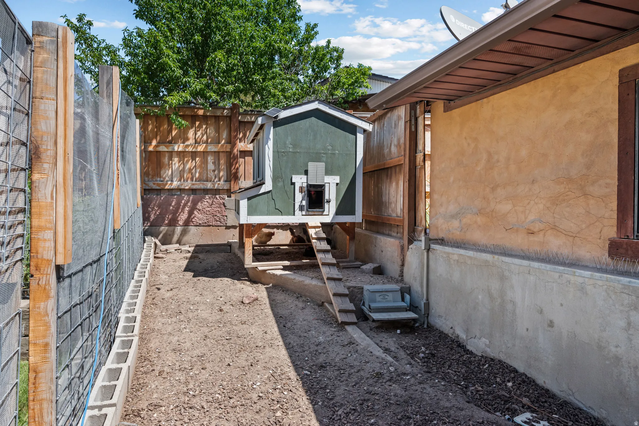 Chicken coop with ramp access, positioned on a dirt-surfaced area
