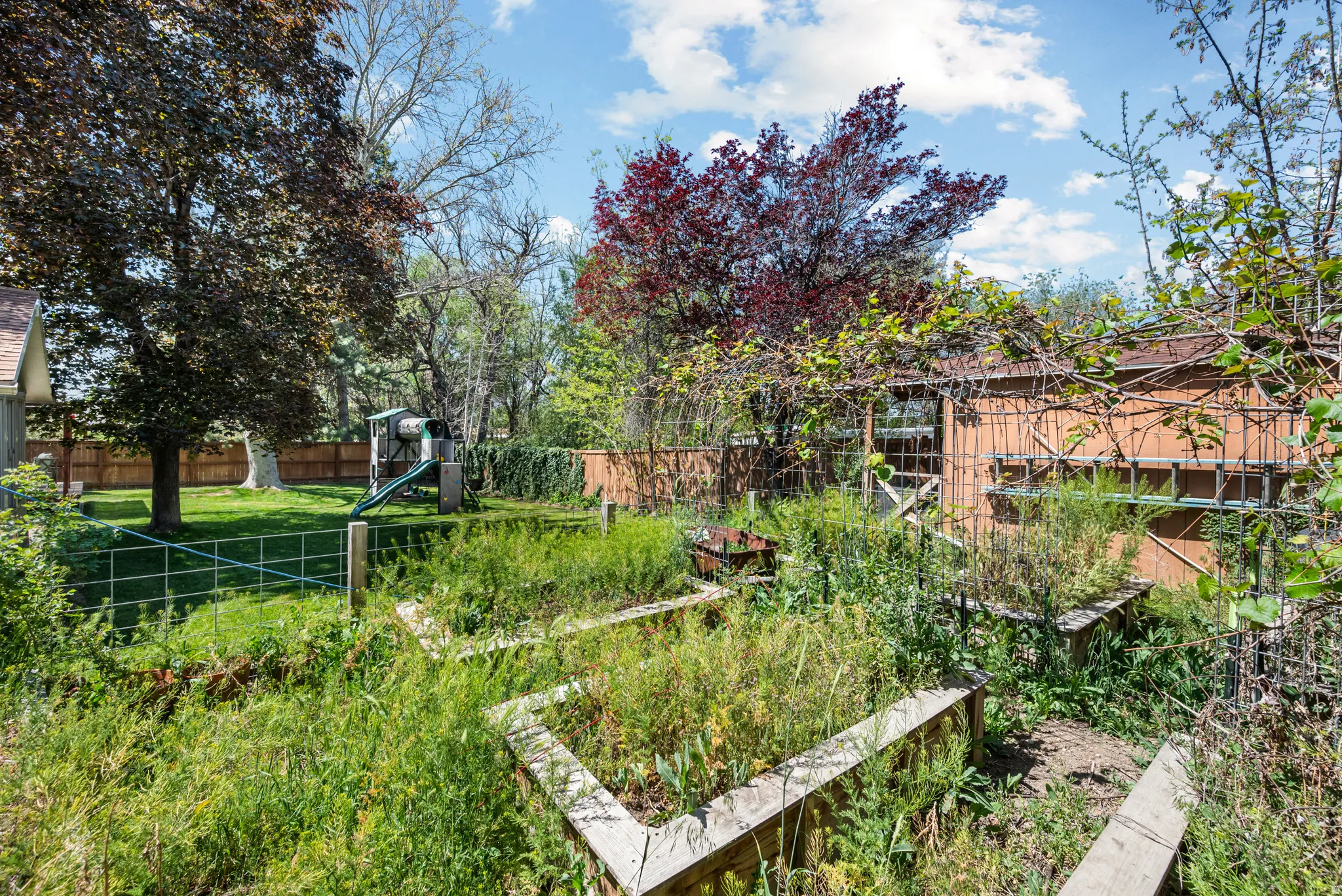 Expansive outdoor area featuring multiple raised garden beds, a storage shed with a window, and mature trees providing natural shade
