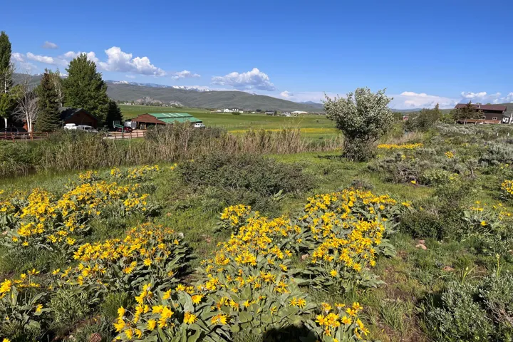 5879 Starr Ln, Oakley, Utah 84055