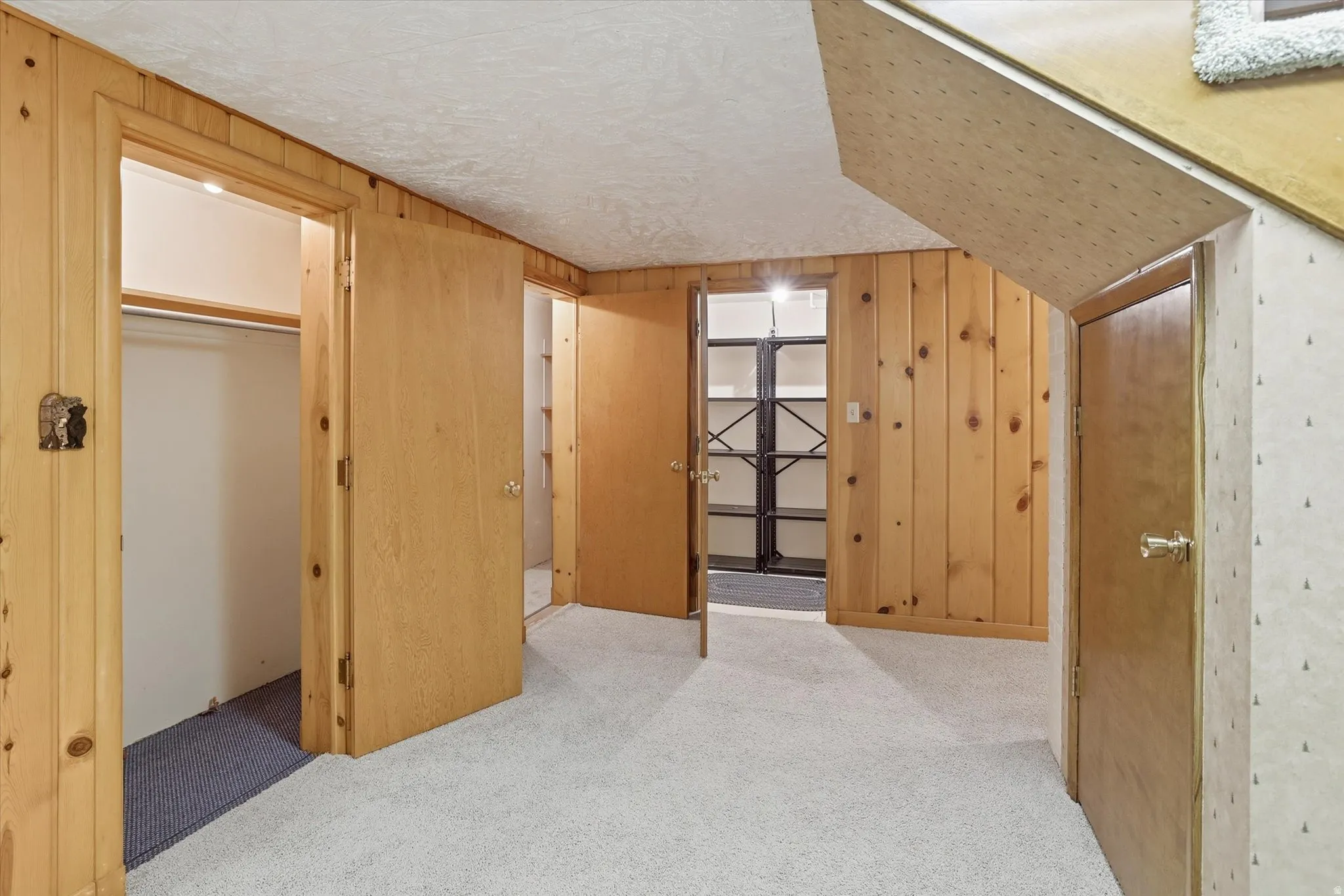 Carpeted room with knotty pine wood paneling, multiple solid core doors, and an exposed storage area with shelving