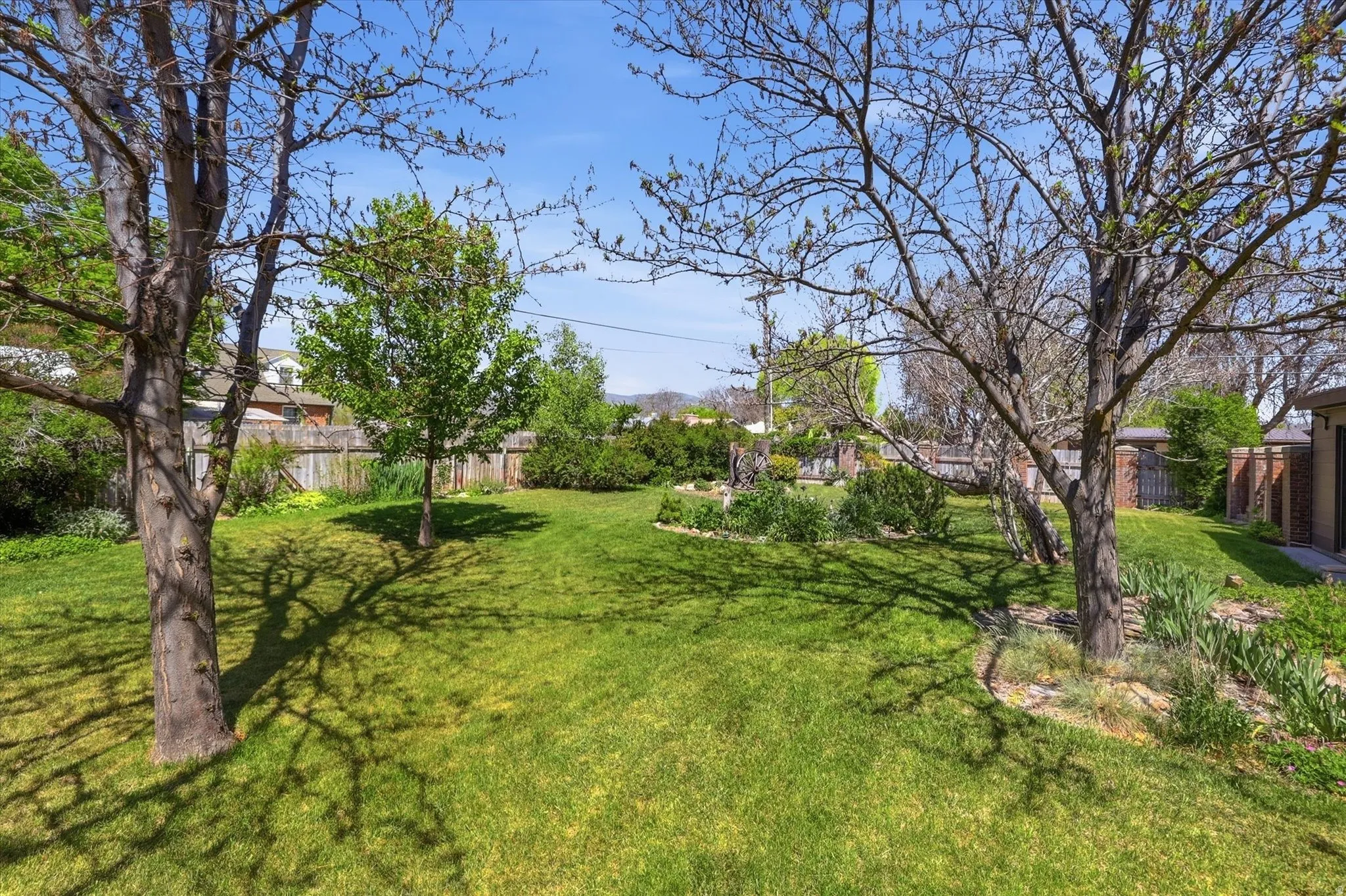 Expansive backyard featuring a manicured lawn, established trees, and perimeter fencing