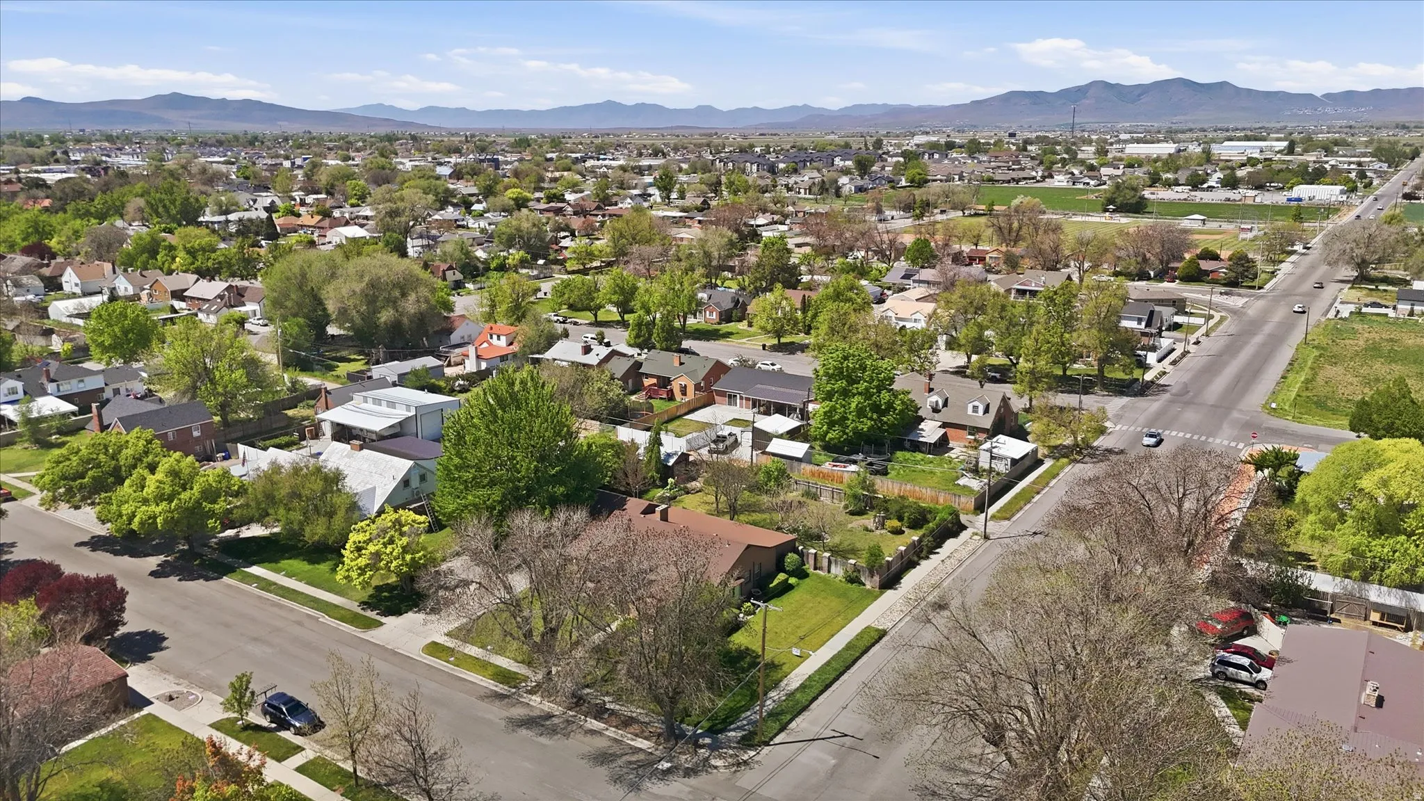 Aerial perspective showcasing a residential area with mature trees and a distant mountain range