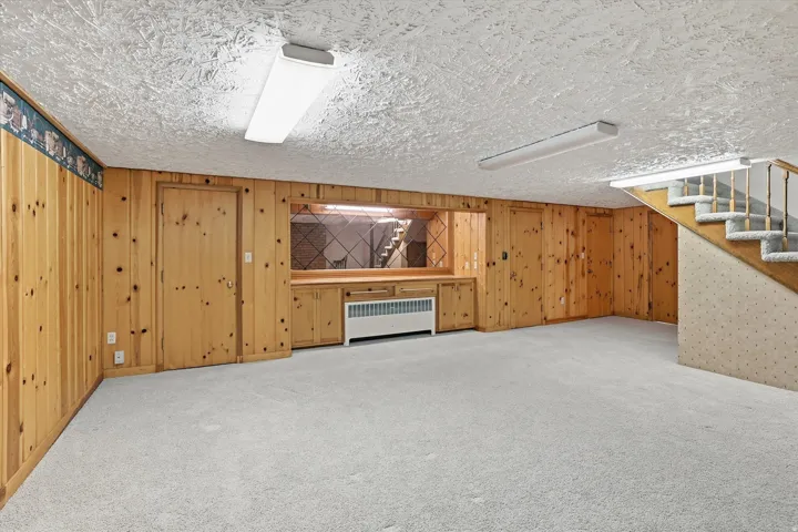 Spacious room featuring light wood paneling, light-toned carpeting, and a built-in counter with mirrored accents