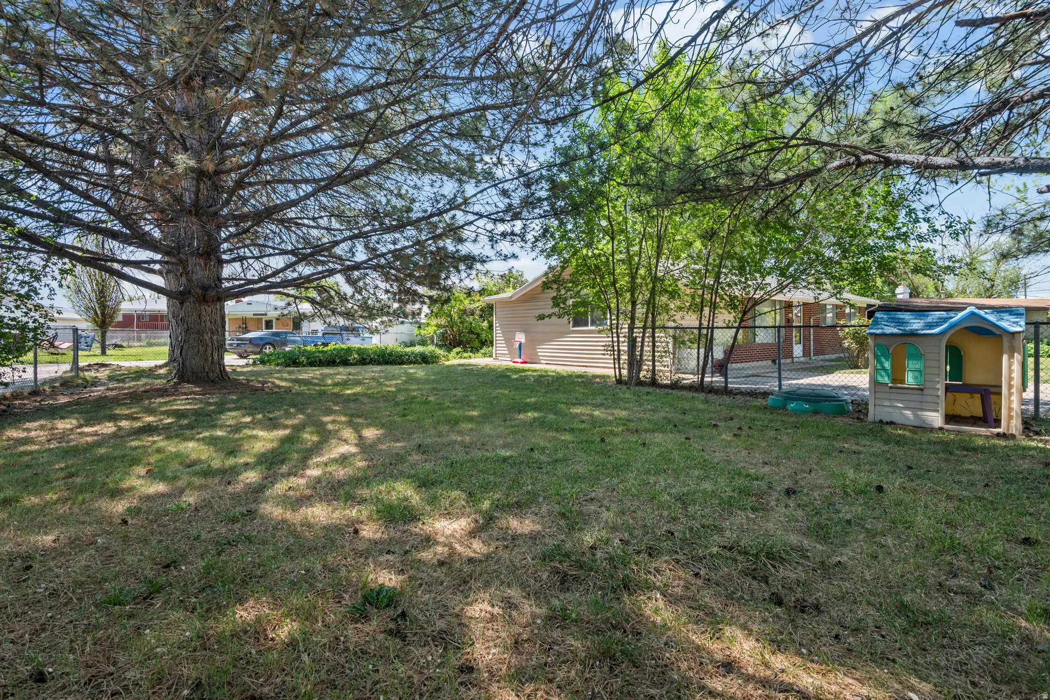 Expansive lawn area featuring a mature conifer tree providing natural shade