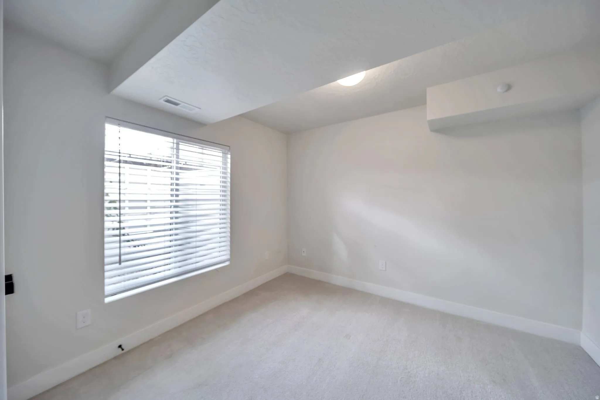 Bright room featuring a single window with horizontal blinds, neutral wall paint, and light-colored carpeting