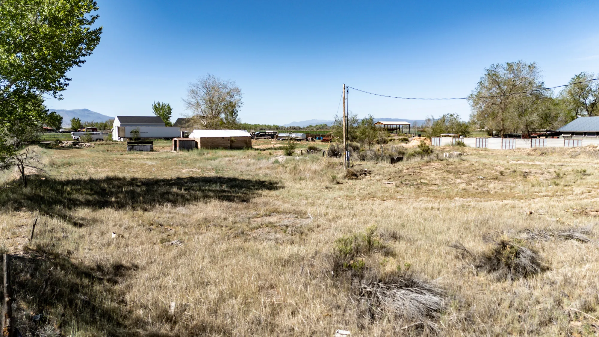 Expansive undeveloped lot with natural vegetation