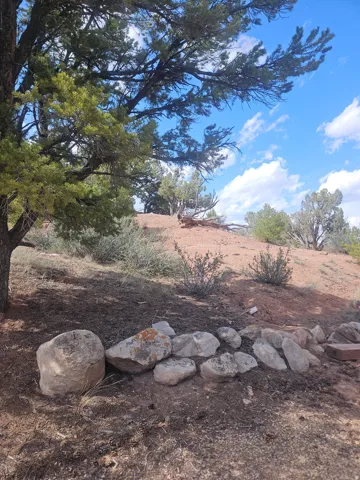 Natural landscape featuring mature trees, a gently sloping terrain, and rock formations