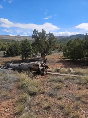Expansive natural landscape featuring scattered trees, arid ground cover, and distant rolling hills