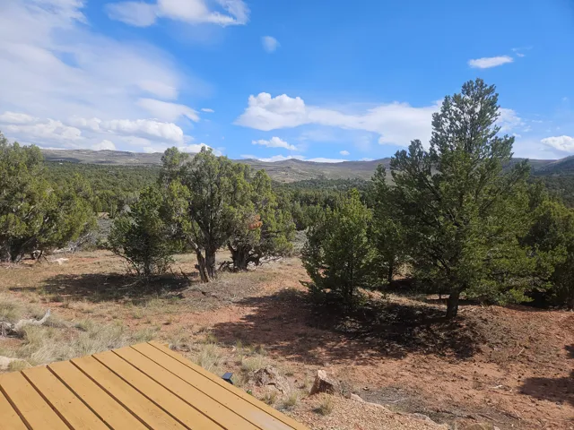Expansive natural landscape featuring mature evergreen trees and arid vegetation