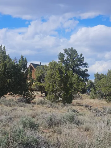 Wood-sided residence partially obscured by mature evergreen trees