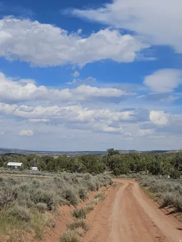 Unpaved road winding through sagebrush and native vegetation