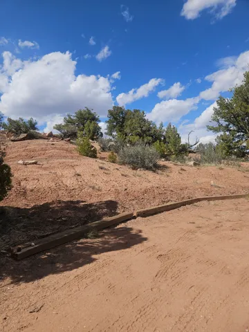 Undeveloped parcel featuring a dirt terrain, natural shrubbery, and mature trees