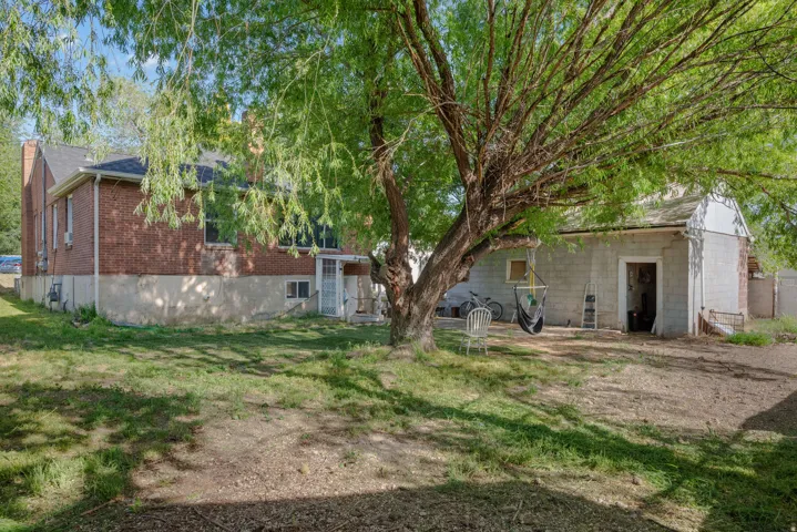 Mature deciduous tree providing natural shade