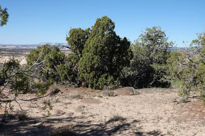 330 N Pinion Branch North Dr, Boulder, Utah 84716