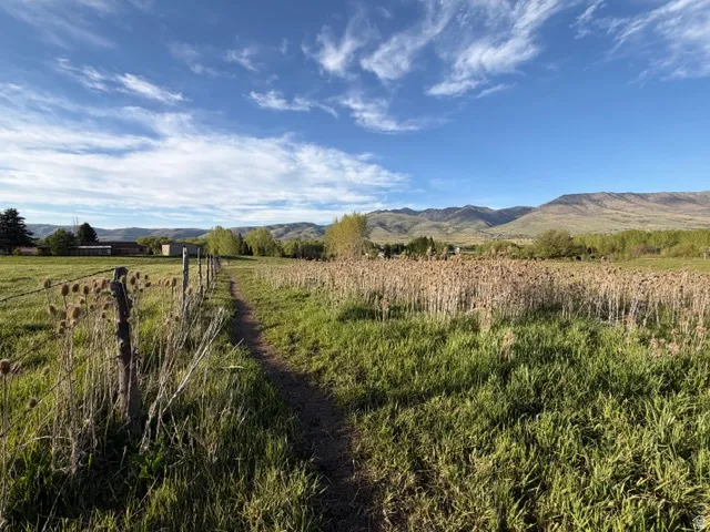 Expansive grassy field featuring a natural earth path, rustic wooden fence, and diverse vegetation