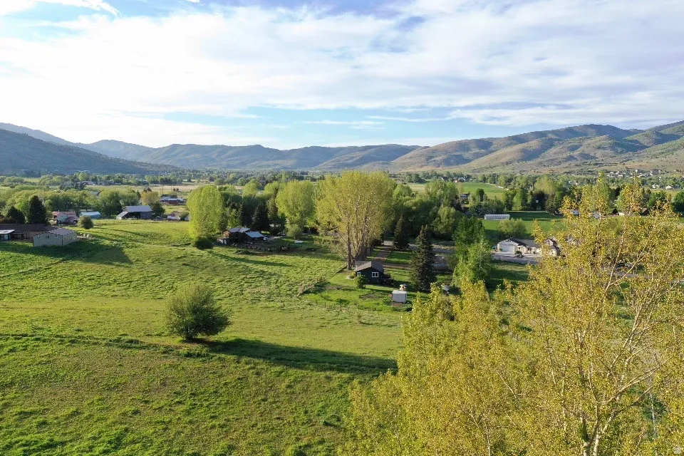 Expansive green acreage with mature trees