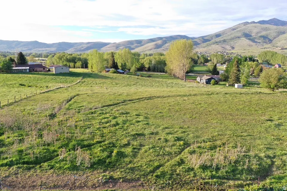 Expansive green fields with distant mountain backdrop, featuring mature trees and scattered residential structures