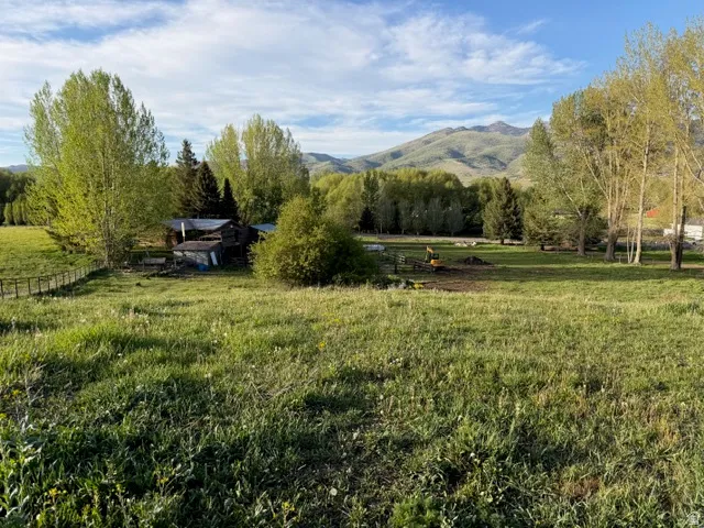 Expansive green landscape featuring varied foliage, including mature trees and grassy areas