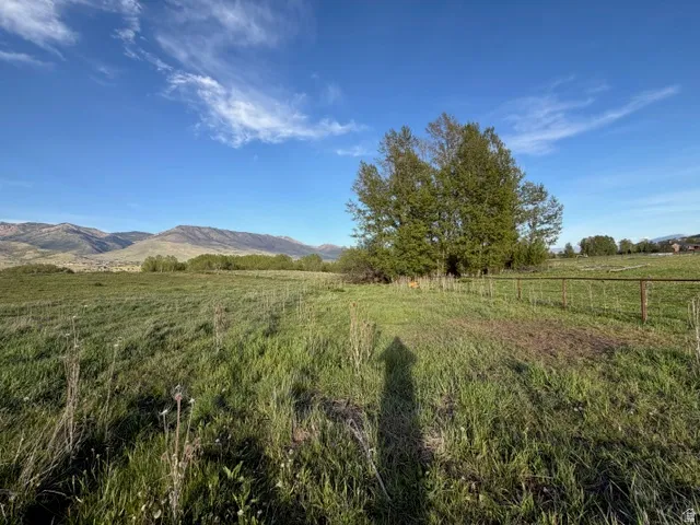 Expansive grassy terrain featuring scattered trees and a distant mountain range under a clear sky