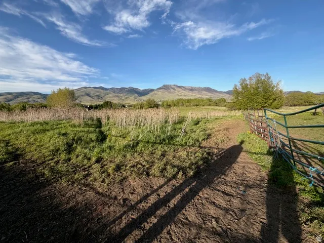 Expansive acreage featuring natural grasslands and distant mountain ranges under a blue sky with scattered clouds