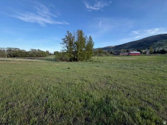 Expansive green field featuring distant red barn structures and a mountainous backdrop
