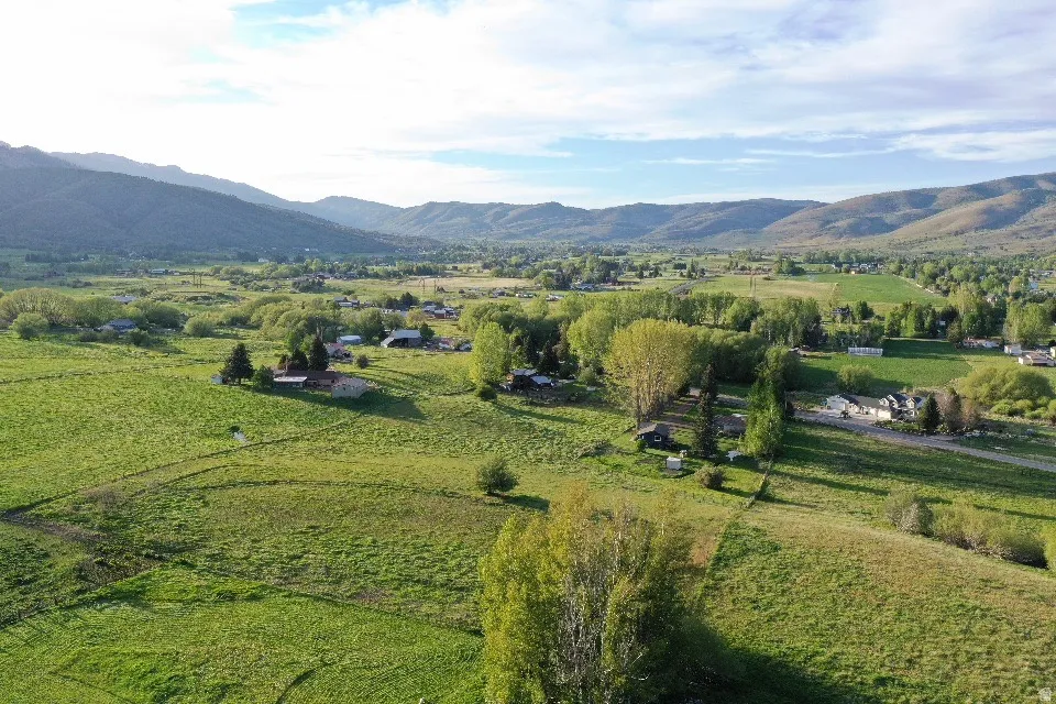 Expansive green fields featuring scattered residential structures and mature trees