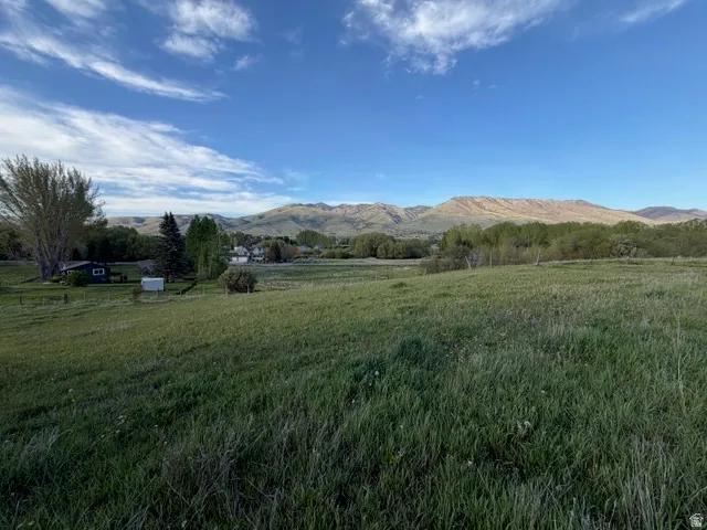 Expansive green field with distant mountain range backdrop