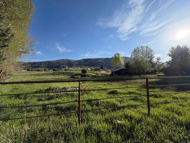 Expansive green pastureland with distant mountain backdrop, featuring a visible fence line, mature trees, and a distant building structure