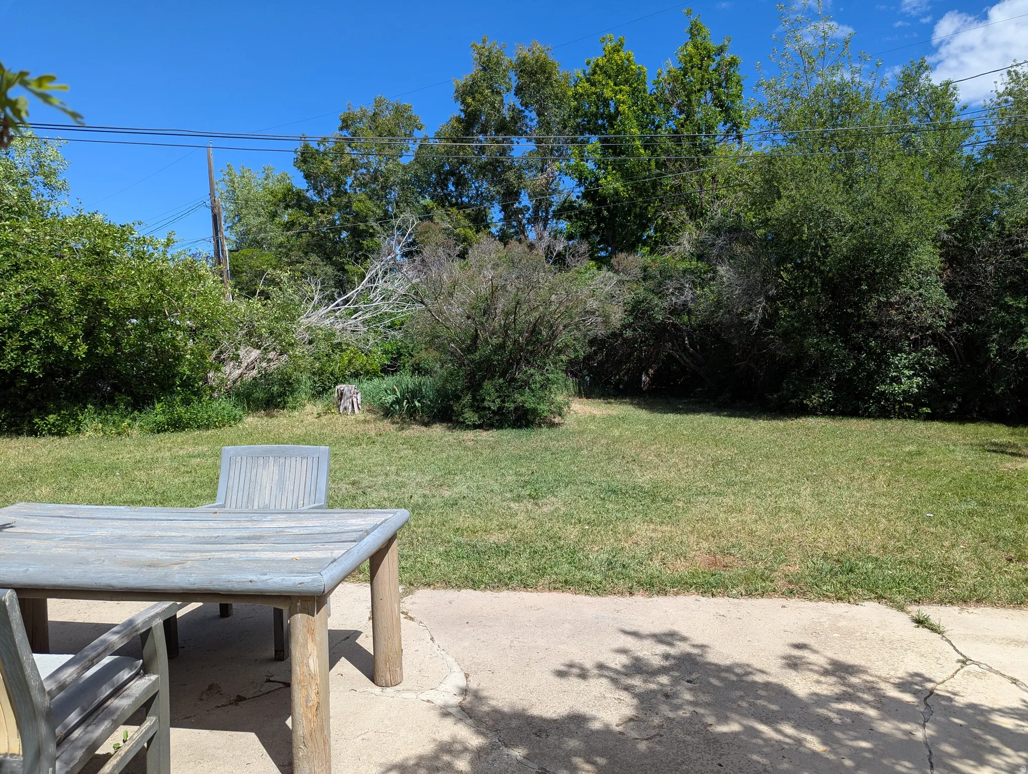 Expansive grassy yard with mature perimeter trees and shrubs, complemented by a concrete patio