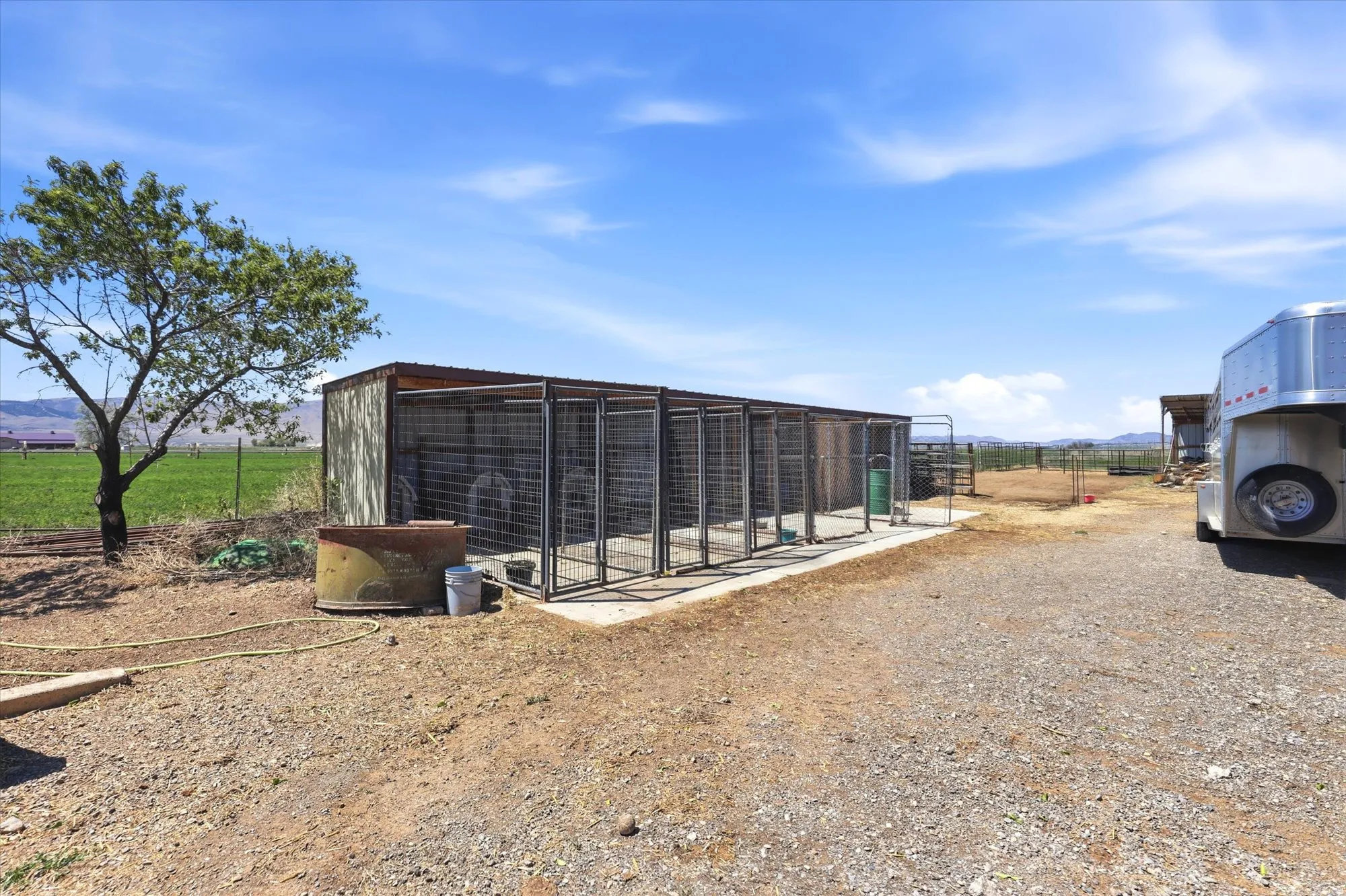 Outdoor animal enclosure featuring multiple individual pens with metal grating and a solid roof structure