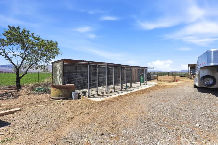 Outdoor animal enclosure featuring multiple individual pens with metal grating and a solid roof structure