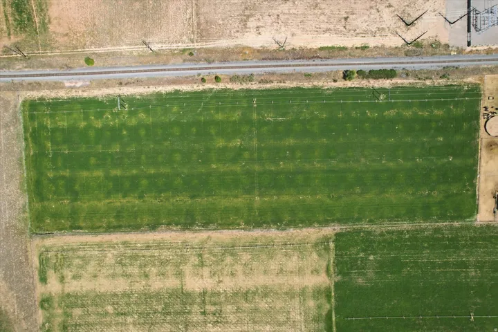ADDITIONAL LAND AVAILABLE SEPARATELY