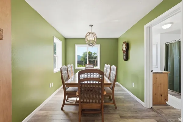 Elongated room featuring wood-finish flooring, two windows providing natural light, and a central ceiling light fixture
