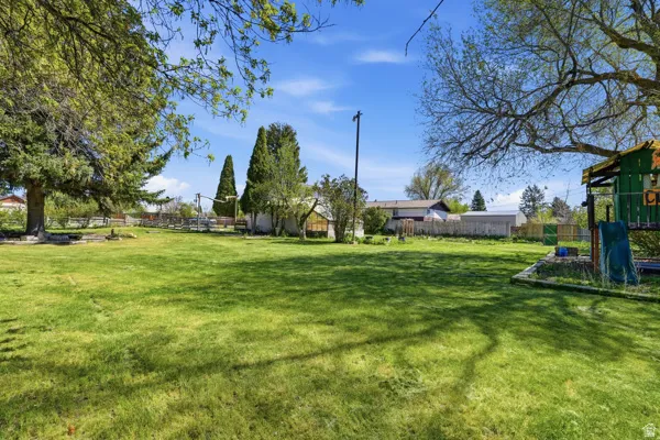 Expansive green lawn with established trees providing natural shading
