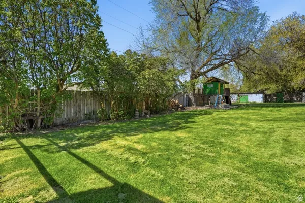 Expansive grassy yard area featuring mature trees and a wooden privacy fence
