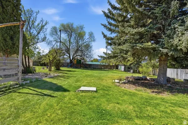Expansive green lawn with mature evergreen and deciduous trees