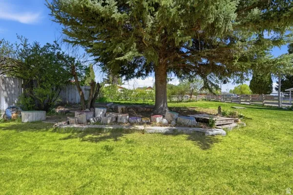 Expansive grassy yard featuring a prominent mature tree, natural rock accents, and a wooden fence boundary