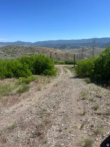 Gravel path bordered by green foliage, with distant rolling hills and mountains under a clear sky